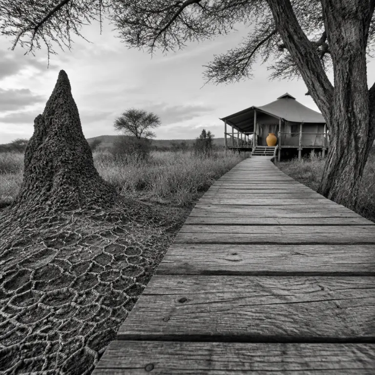African adventures and the greatest safari on earth for remote eco hotel escapes